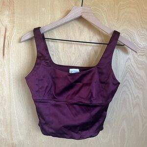 NWT Aritzia Wilfred Shine Bustier Top